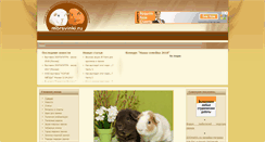 Desktop Screenshot of morsvinki.ru